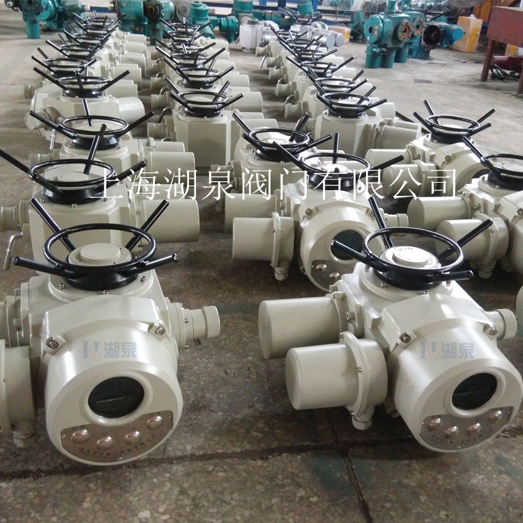 電動(dòng)閥門(mén)裝置生產(chǎn)廠(chǎng)家